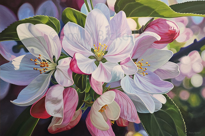 Garden Paintings